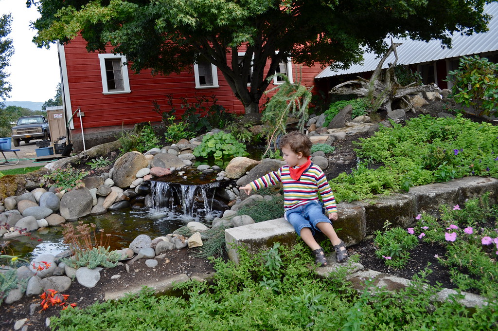 DSC_0229 Fun day at ThistleDown Farm Eugene. Oregon Jarl Berg Ski