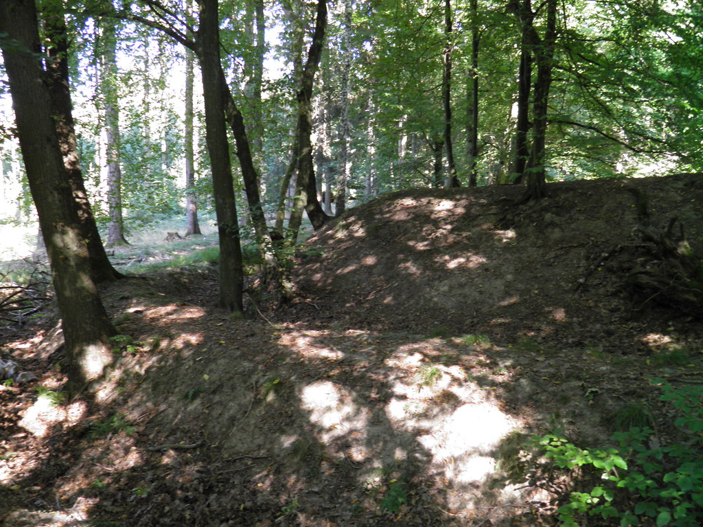 The Limes Germanicus, Saalburg Roman Fort, Limes Germanicu… Flickr