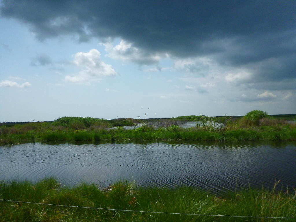 Elevation of Pecan Island West Hunt Club, LA82, Kaplan, LA, USA Topographic Map Altitude Map