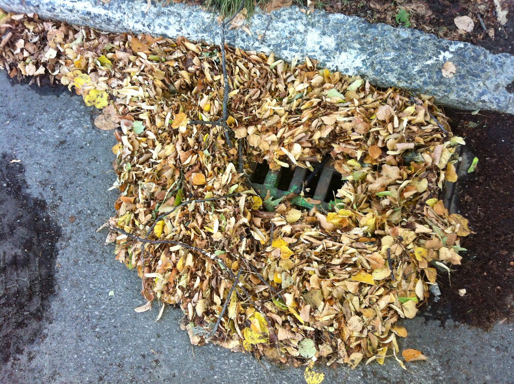 Sewerblockageleaves Leaves blocking a drain after a rain… Flickr