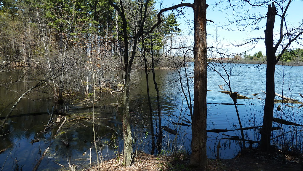 Mud Lake May 2012, Ottawa. fun nature walk. Jacob Earl Flickr