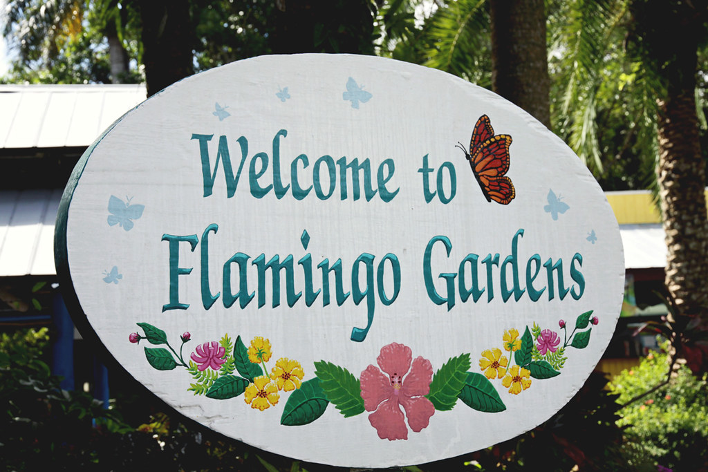 Flamingo Gardens 1 Flamingo Gardens sign Brenda Sandhouse Flickr