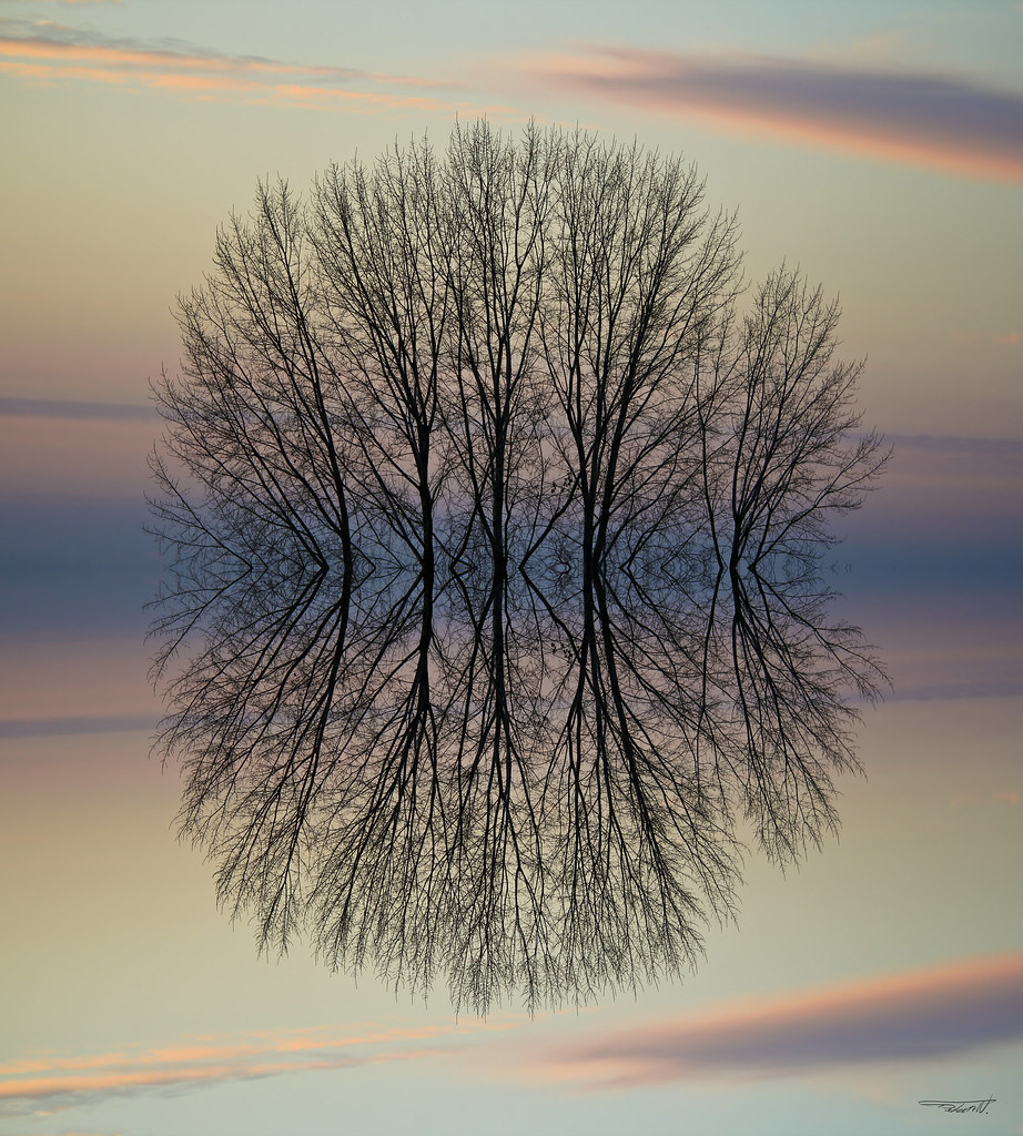 Natural light painting a photo on Flickriver