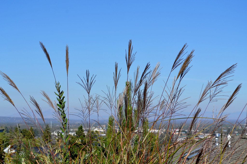 Another Autumn day with COOL kids at Upland Sawyer Park by… Flickr