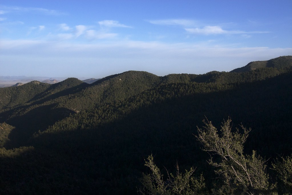 Elevation of New Mexico, NM, New Mexico, USA Topographic Map