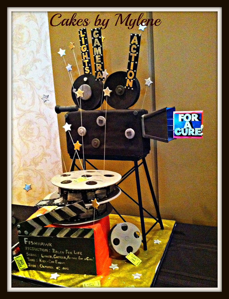 Light, Camera, Action for a Cure a photo on Flickriver