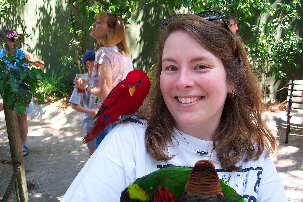 Tampa: Busch Gardens - Lory Landing | My Favorite Lorikeet W… | Flickr