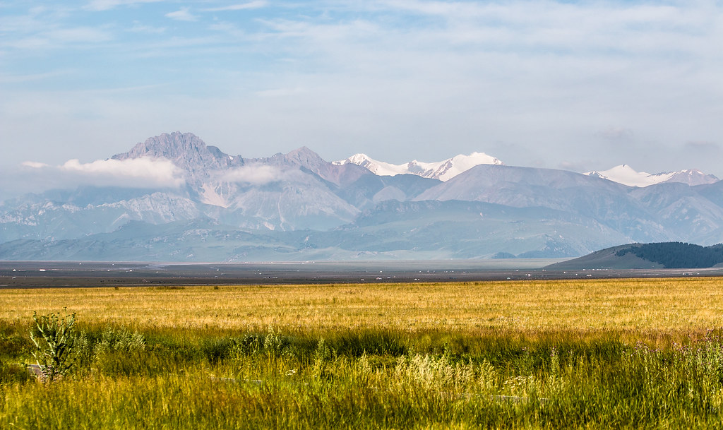 Golden Meadow Golden meadow and snow mountain. Tuzlei Flickr