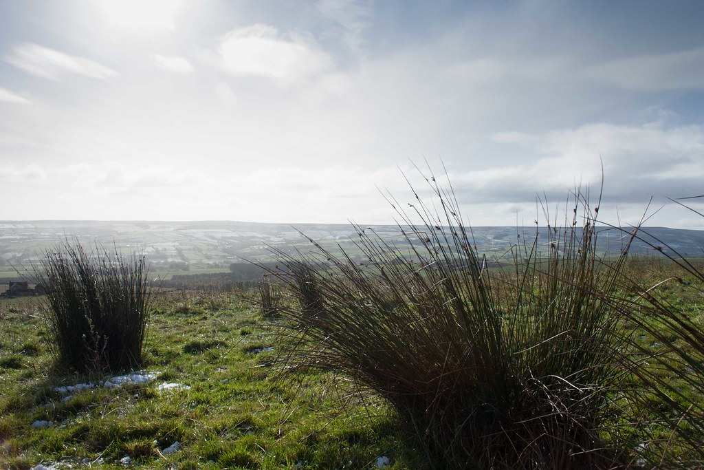 Wolsingham Park Moor Autumn snow around Wolsingham Yasmine Hamid