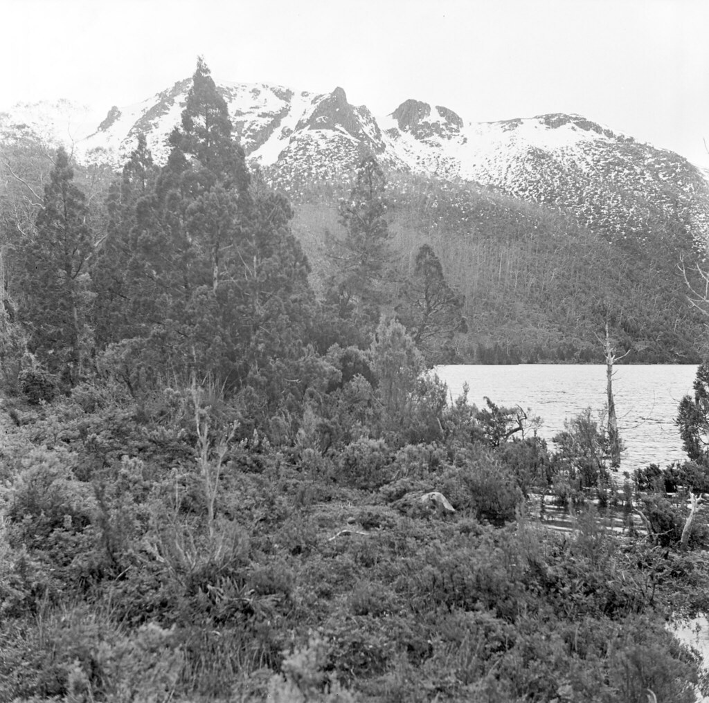 Lake Belcher Mt Field National Park. Photo by Jack Thwai… Flickr