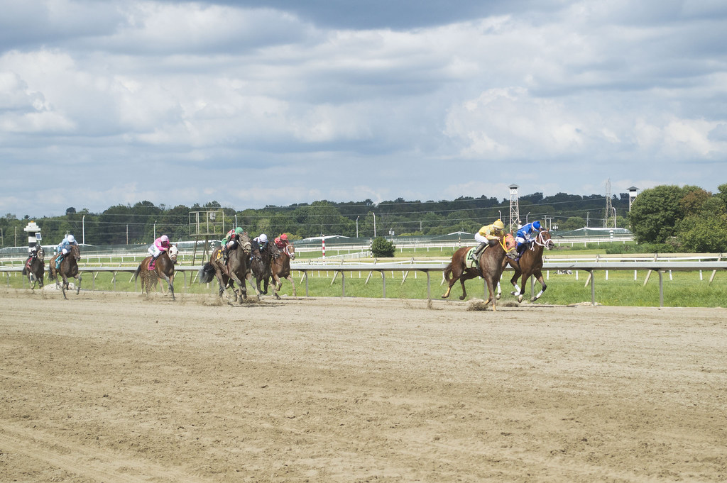 DSC_0059 Pennsylvania Horse Breeders Association Flickr