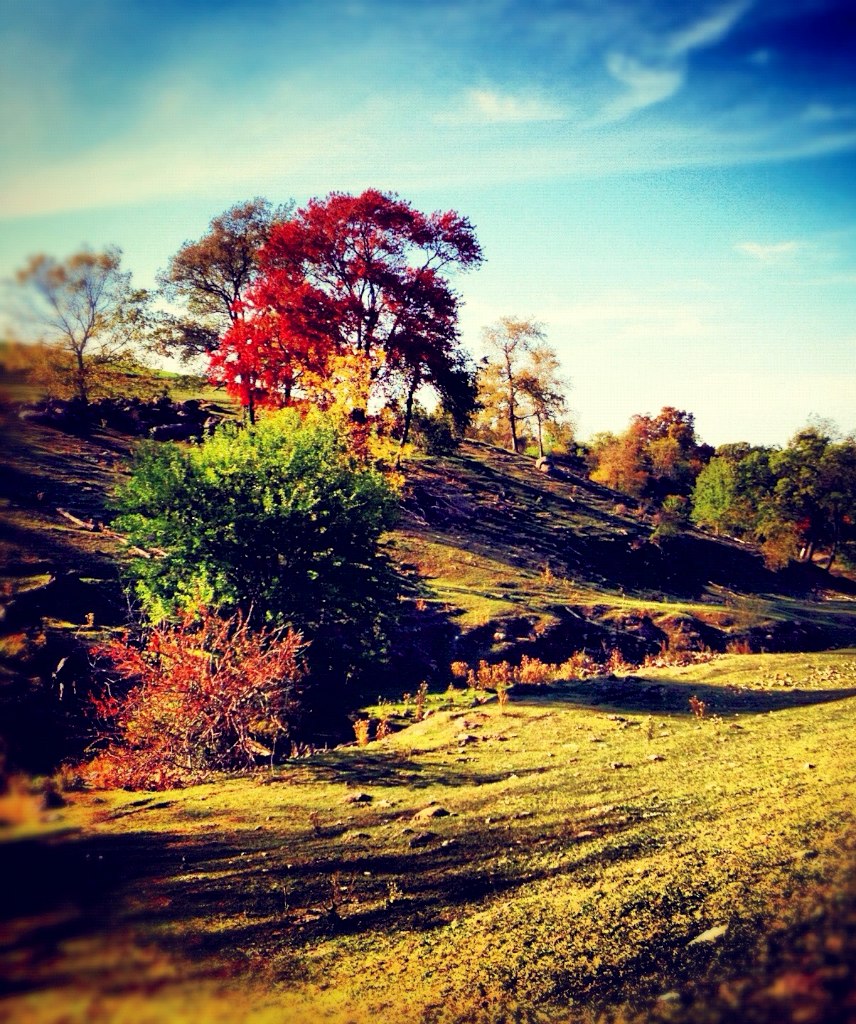 Fall. Ridgeway, Wisconsin bryantdavid77 Flickr