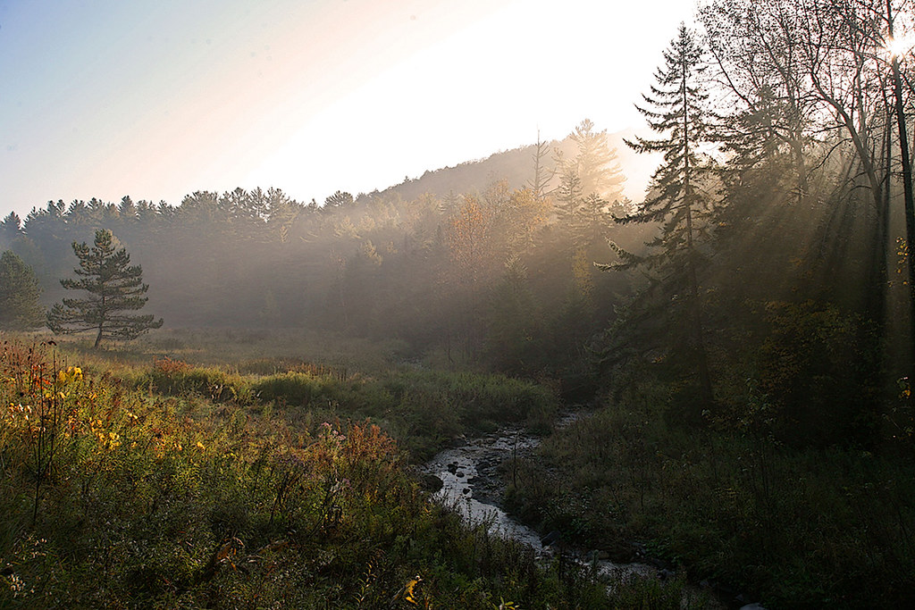 Misty Morning East Barnard. VT Vermont Ed 802 Flickr
