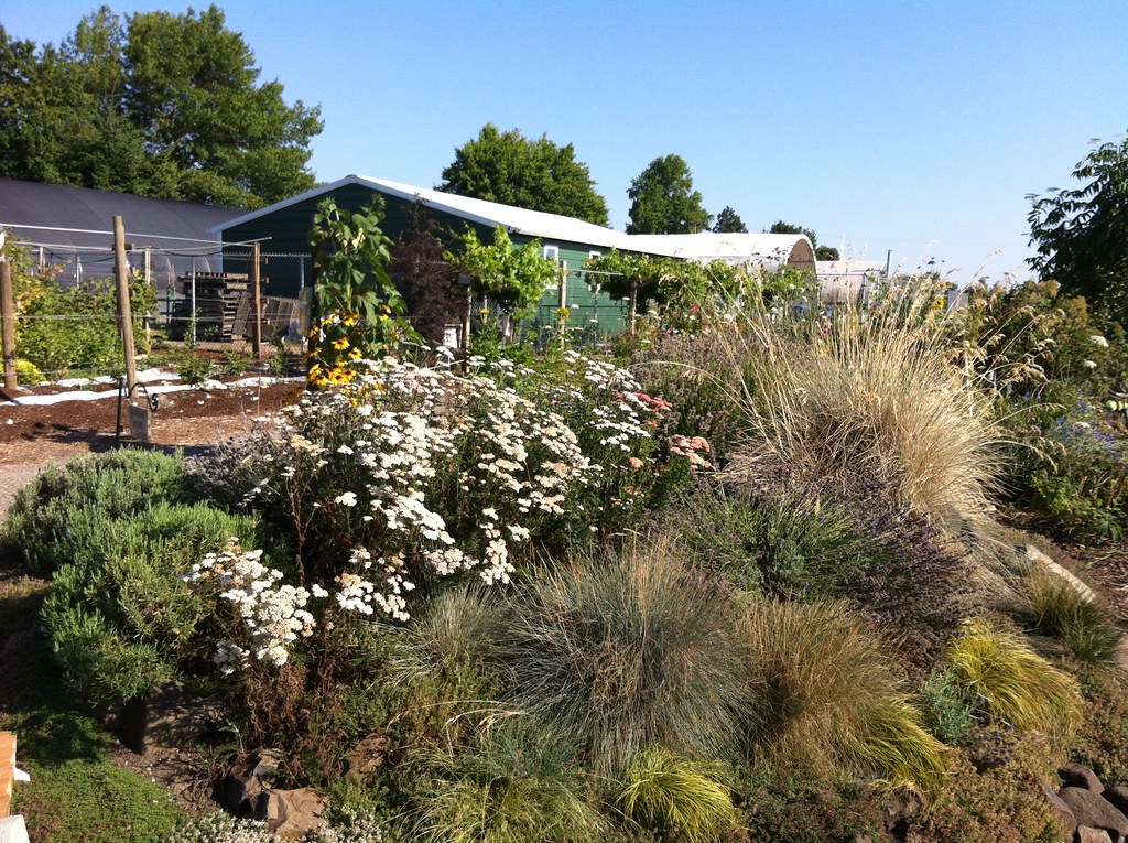 Marion Gardens At the Marion Gardens, a demonstration gard… Flickr