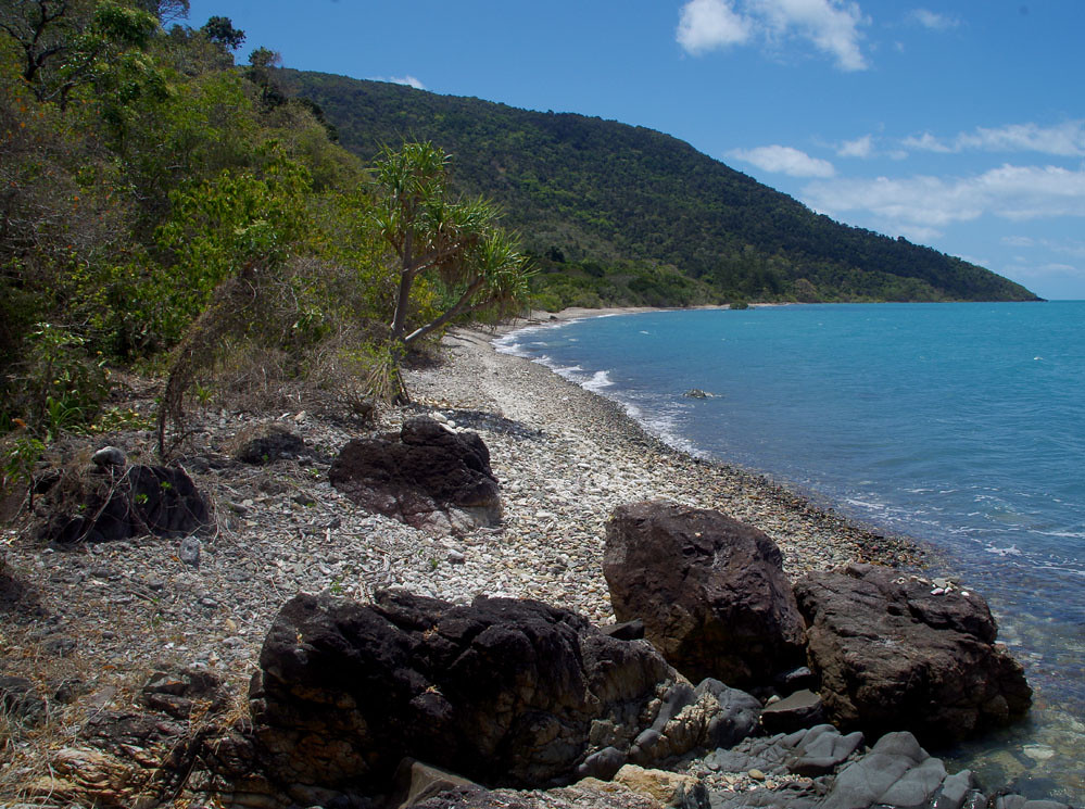 North Swamp Bay with Pandanus ?tectorius, Conway National … Flickr