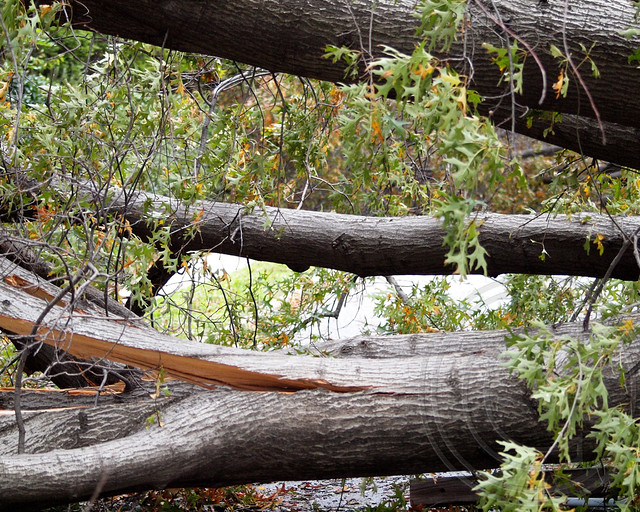 Edgewater Nj Road Closures at Harrison Thrasher blog