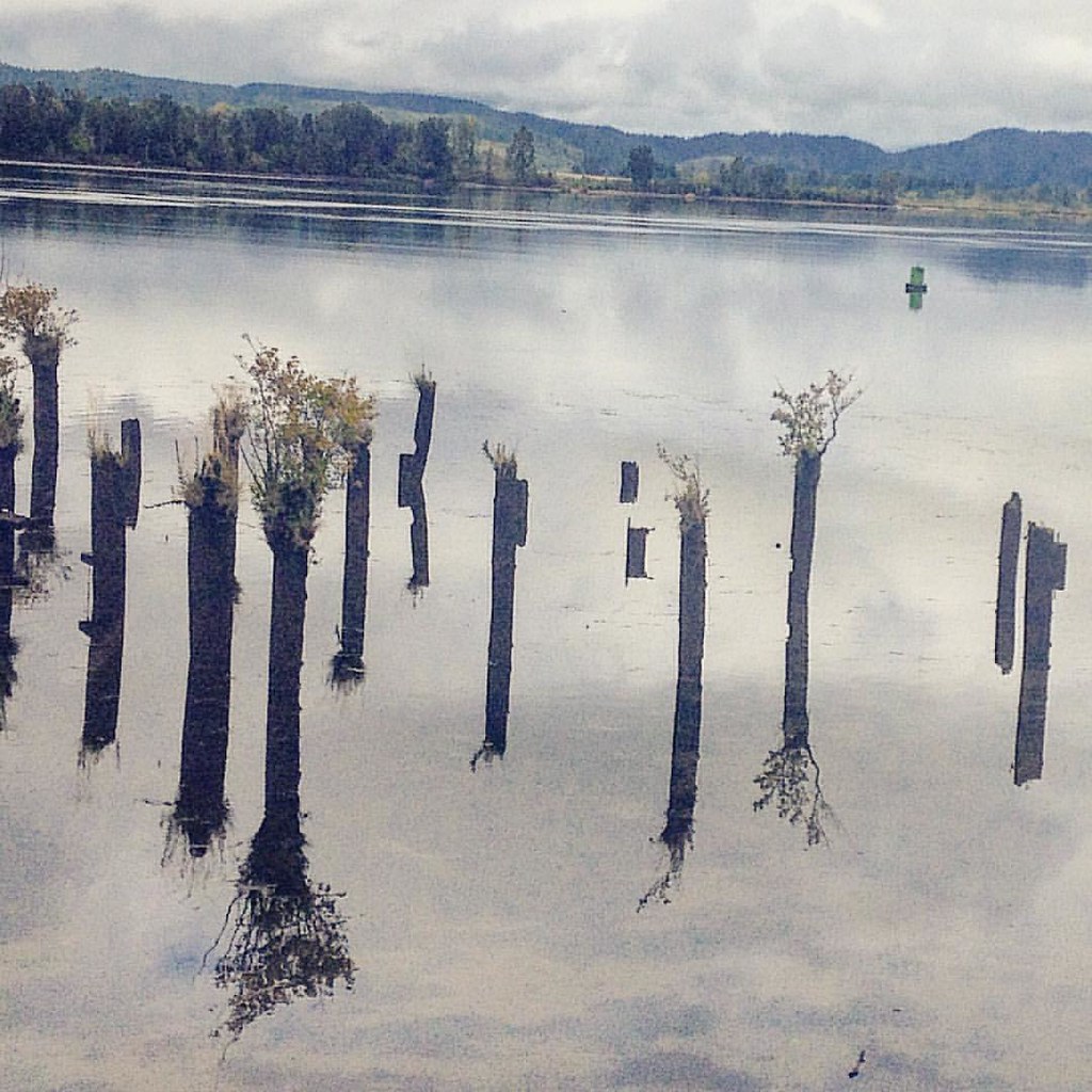 Today in Cathlamet. timothy_mathis Flickr