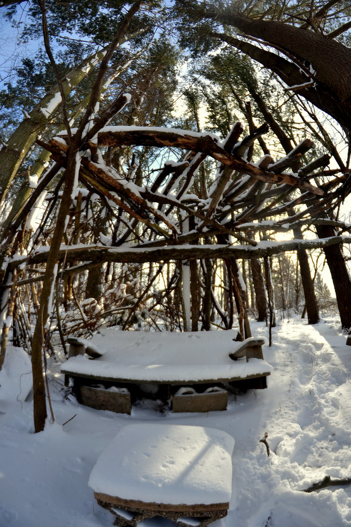 DSC_0338 Cameron&Camera. Flickr