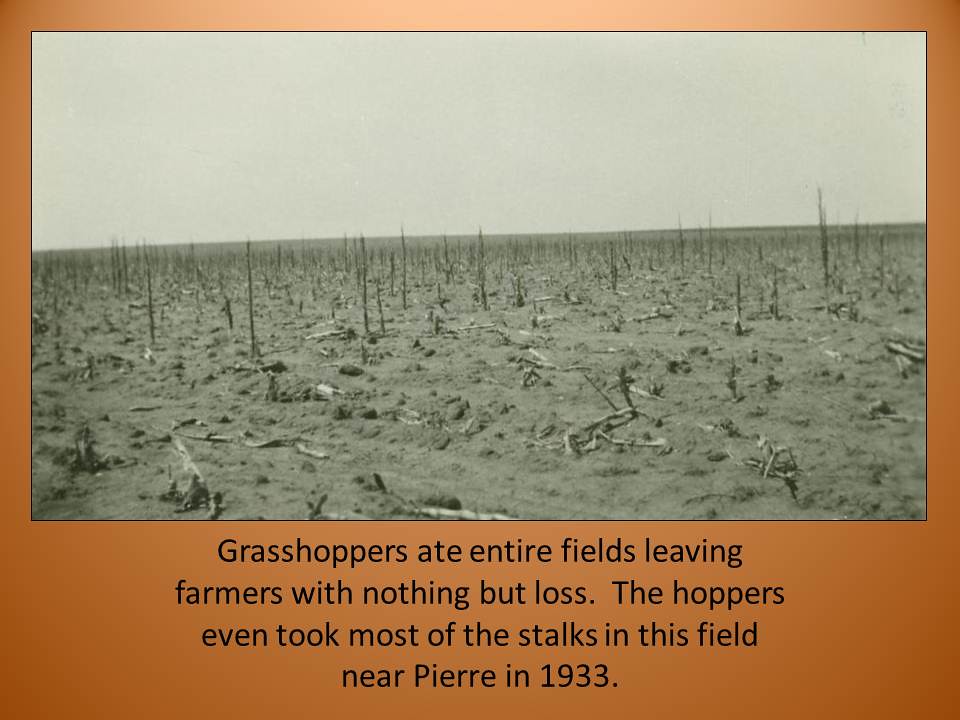 South Dakota Dust Bowl South Dakota State Historical Society Flickr