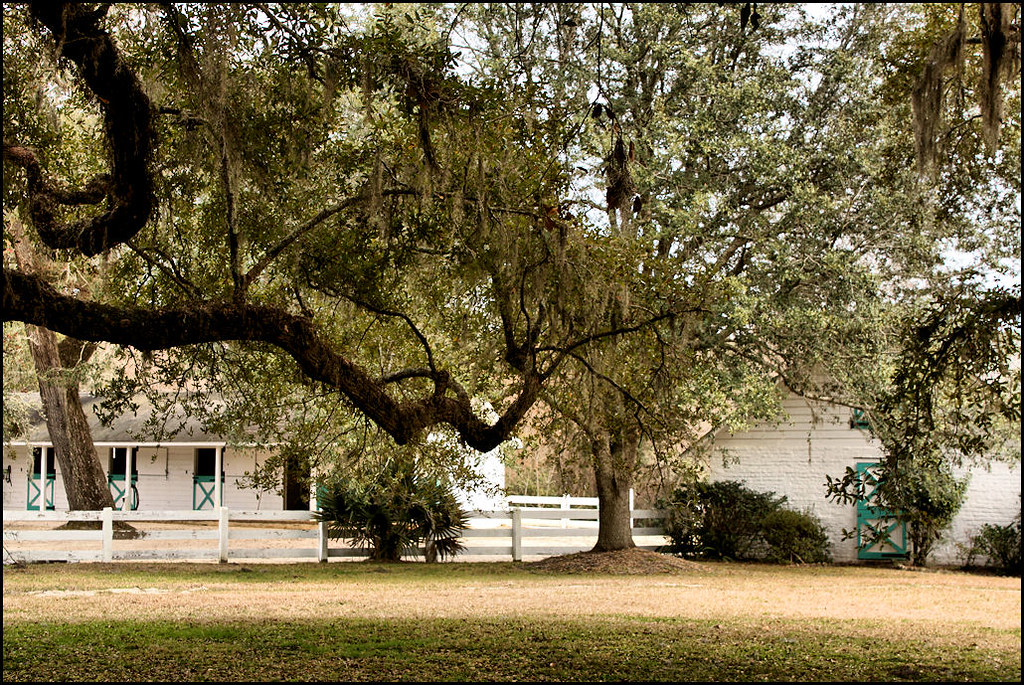Medway Plantation Medway Plantation located in Goose Creek… Brandon
