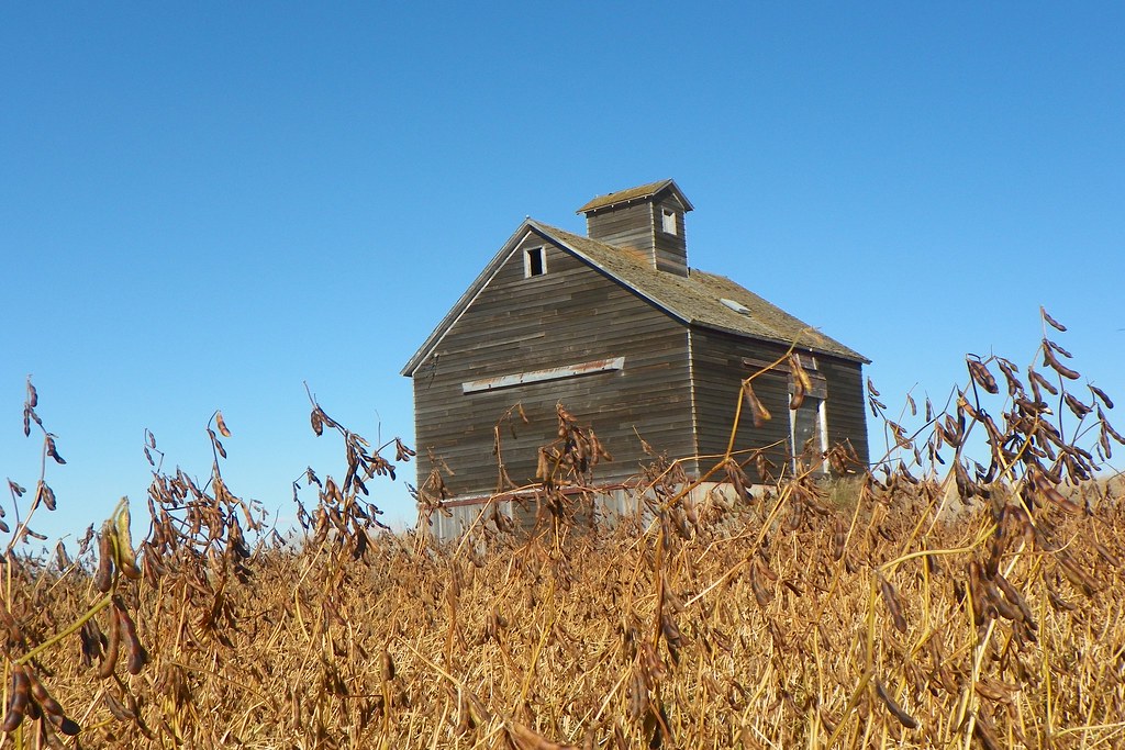 Feild of Dreams 3mi E of Wimbledon, ND Betty McMillan Lisa Steckler