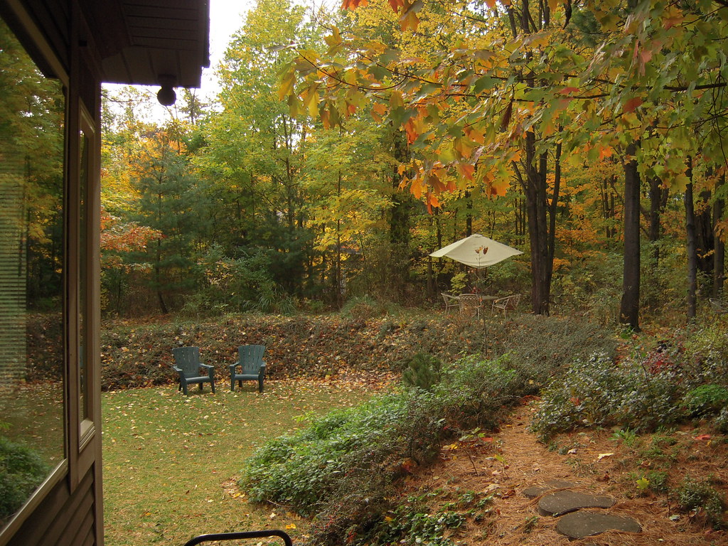 Our House, garden 3 South Garden from Family Room door. postpanglossian Flickr