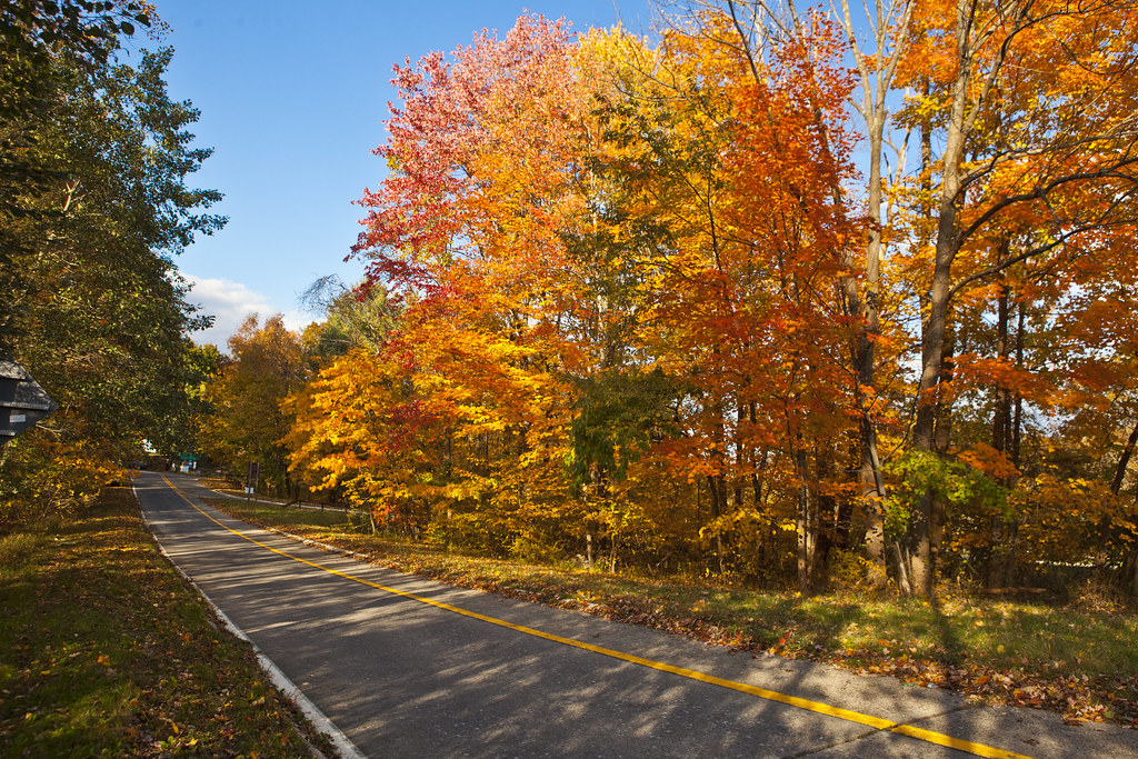 Foliage along the Palisades Interstate Parkway Anthony Quintano Flickr