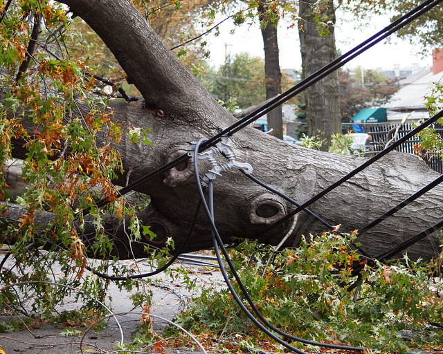 Edgewater Nj Road Closures at Harrison Thrasher blog