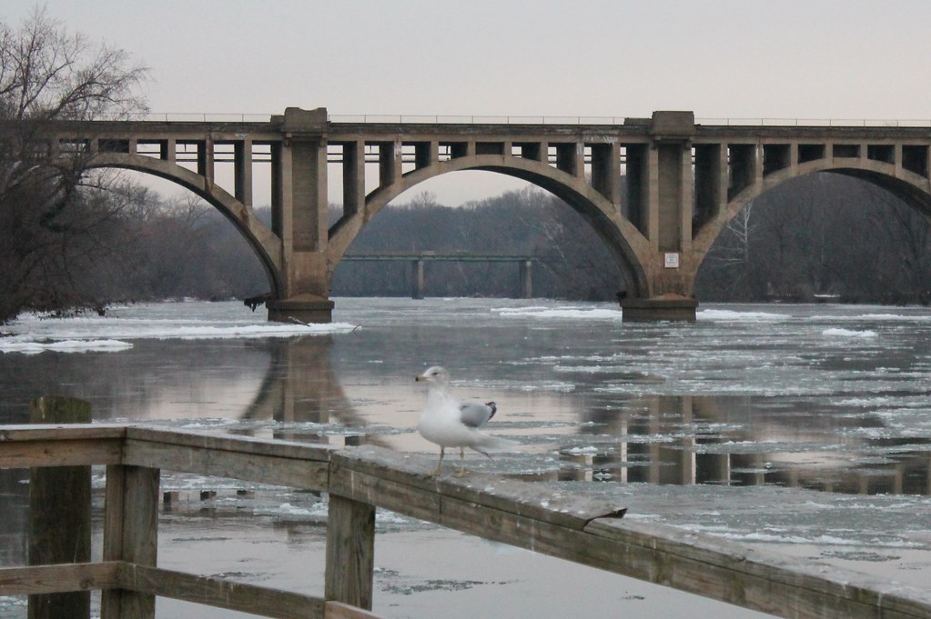 Fredericksburg Snow Fredericksburg, Virginia Snow on 24 an… Flickr