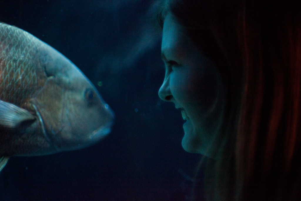 Aquarium on Halloween This Halloween I went down t… Flickr