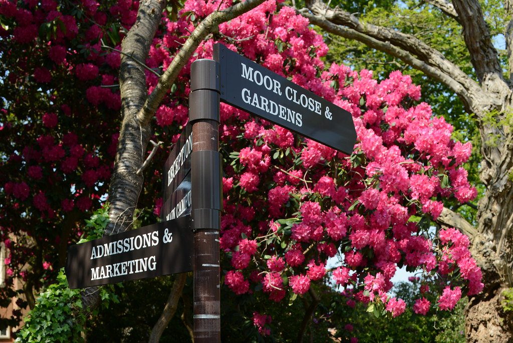 Sylvia's Garden Gardens at Newbold College teakay Flickr