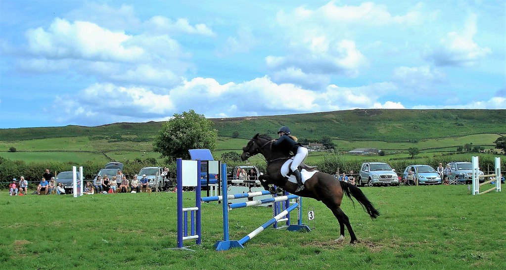 Hold on tight Danby Show Horse jumping at the Danby Agri… Flickr