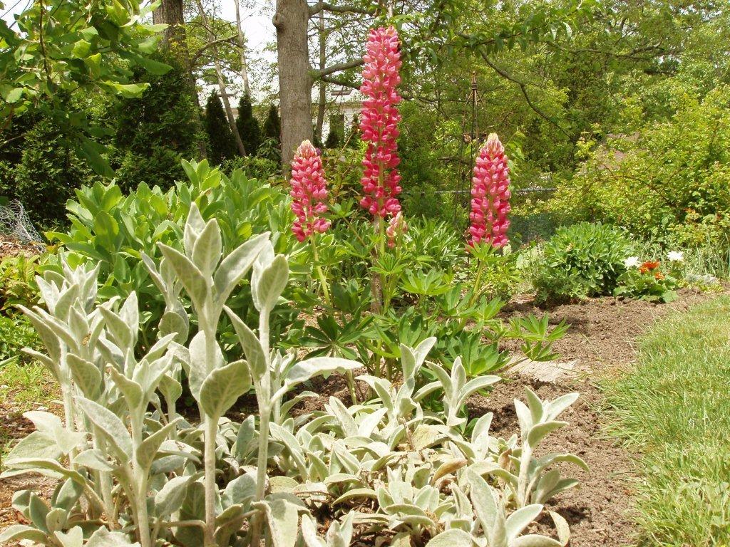 Moriches Bay GC, Center Moriches, NY Maureen Pollack Moric… Flickr