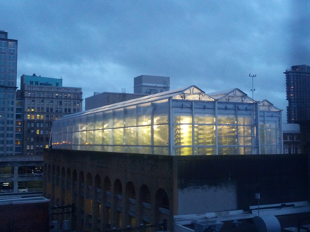 Urban Garden at Night Christopher Porter Flickr