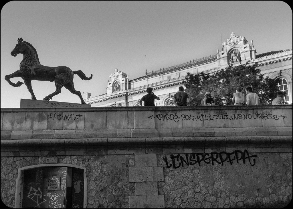 Horse with No Name Afterthegoldrush Flickr