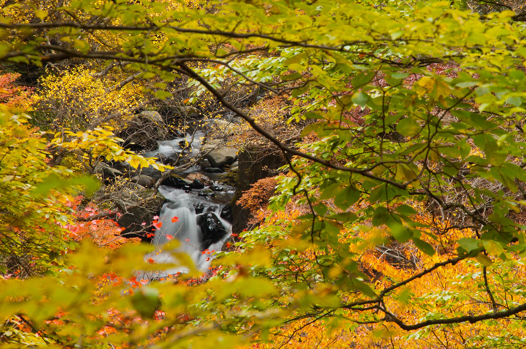 KonakaOtaki ★KonakaOtaki(in Japanese ”小中大滝”) is 96 m of … Flickr