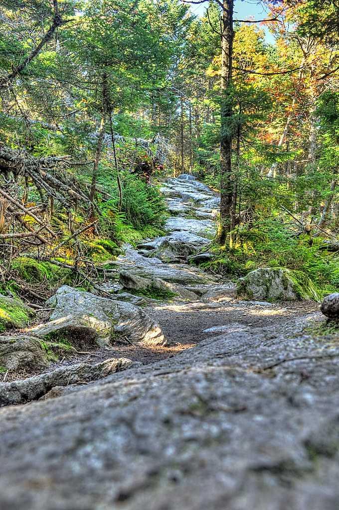 The Monroe Trail The Monroe Trail is a popular route to th… Flickr