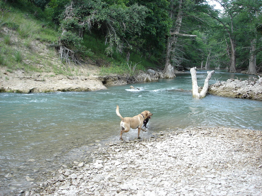 guadalupe river Near Boerne tx Camp Alzafar Trey Hoyer Flickr