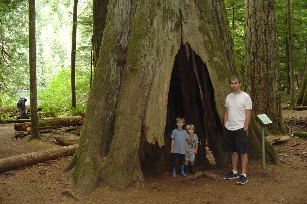 Christmas Trees Parksville trip to parksville cory and kyle in tree Drew And Merissa Flickr