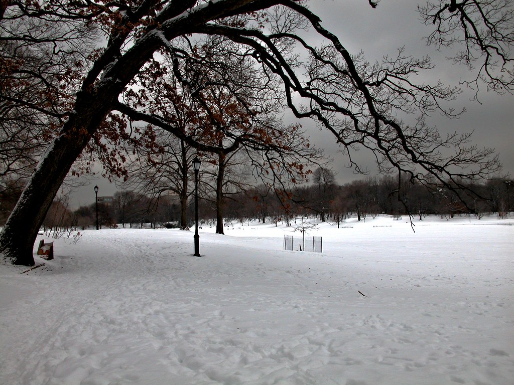Snow Day at Prospect Park Jacob Joaquin Flickr