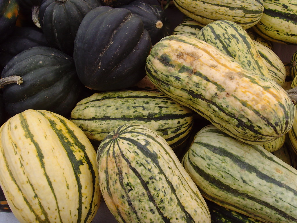 Squash NYC Greenmarket Union Square seasonal transition Melissa
