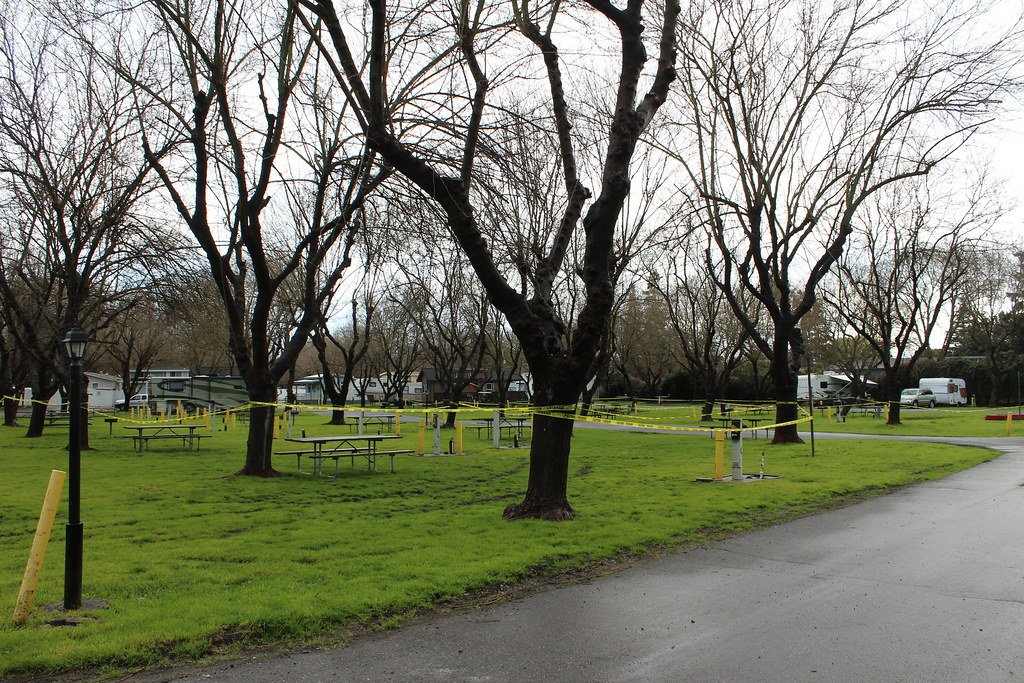 433 laurie mckinney Flickr