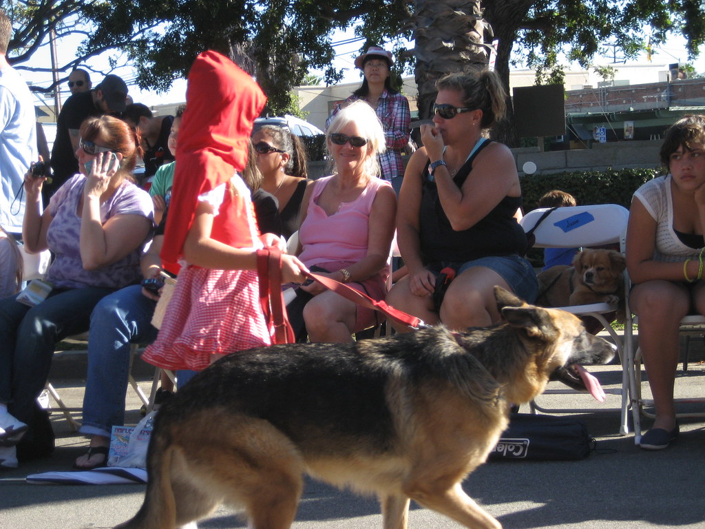 Long Beach Halloween Dog Parade 2012 Spencerette Flickr