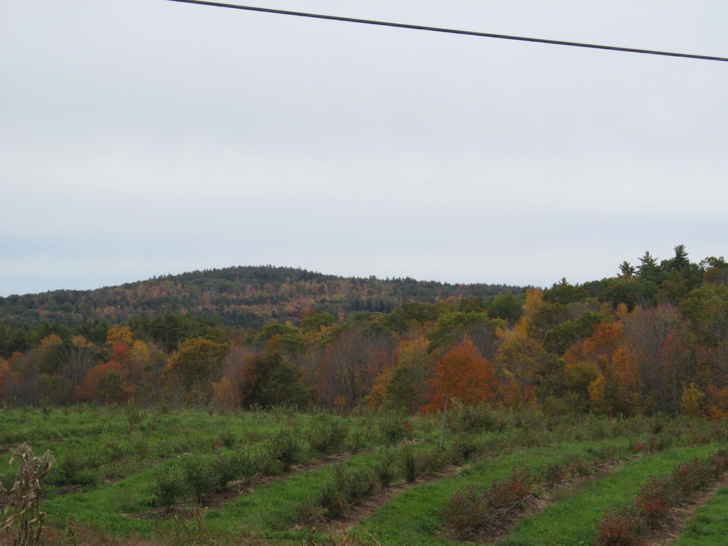 Limington, Maine Limington, Maine Doug Kerr Flickr