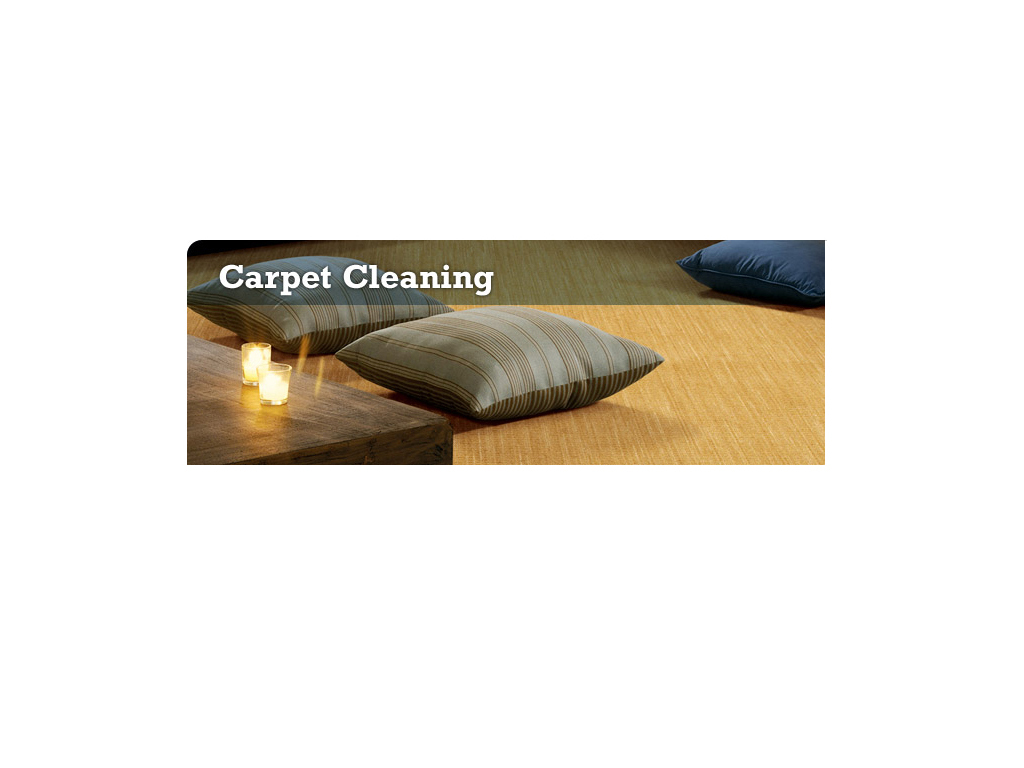 Options Plus Carpet & Upholstery Cleaning Sears Carpet and… Flickr