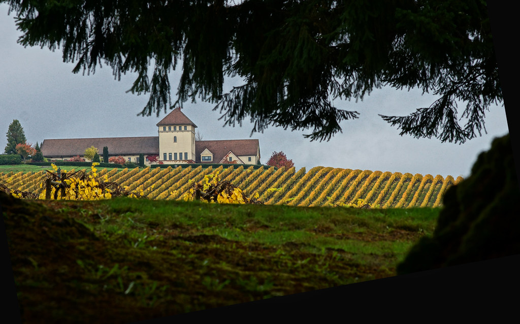 King Estate Winery SERIES Crow, Oregon drburtoni Flickr