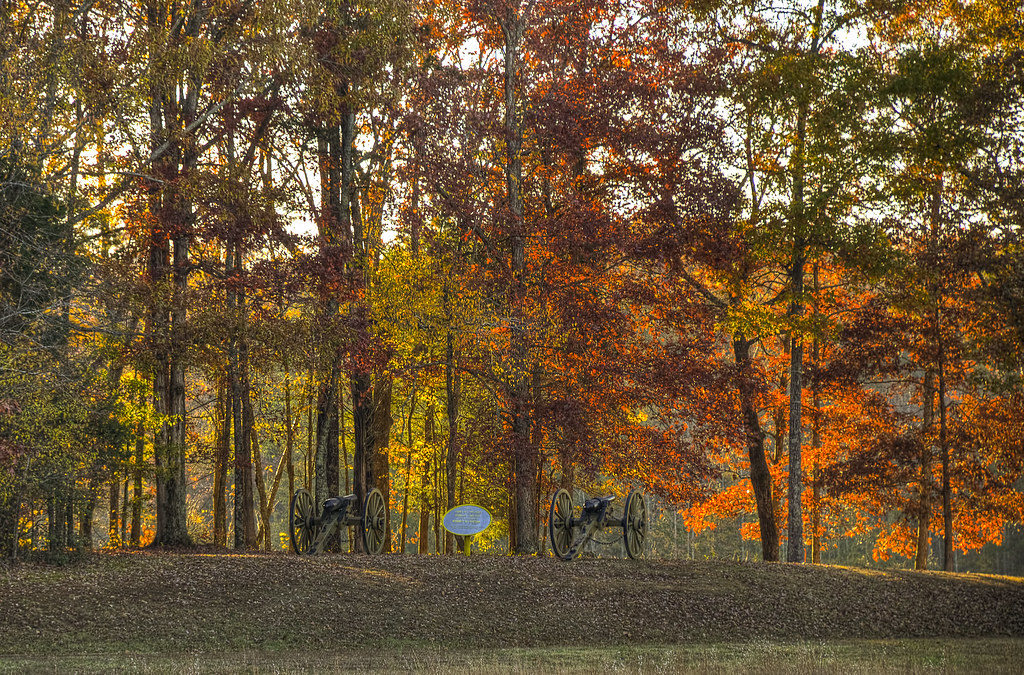 Elevation of Stacy R Wilkerson & Staff, Florence Rd, Savannah, TN, USA