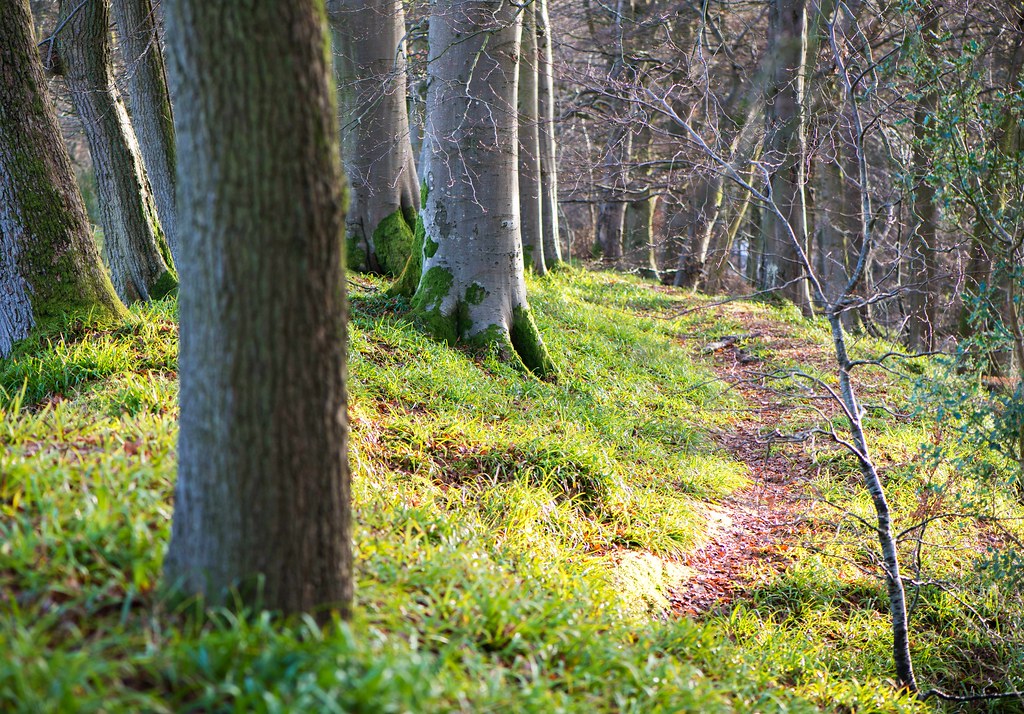 Sorn, East Ayrshire Images captured at the village of Sorn… Flickr