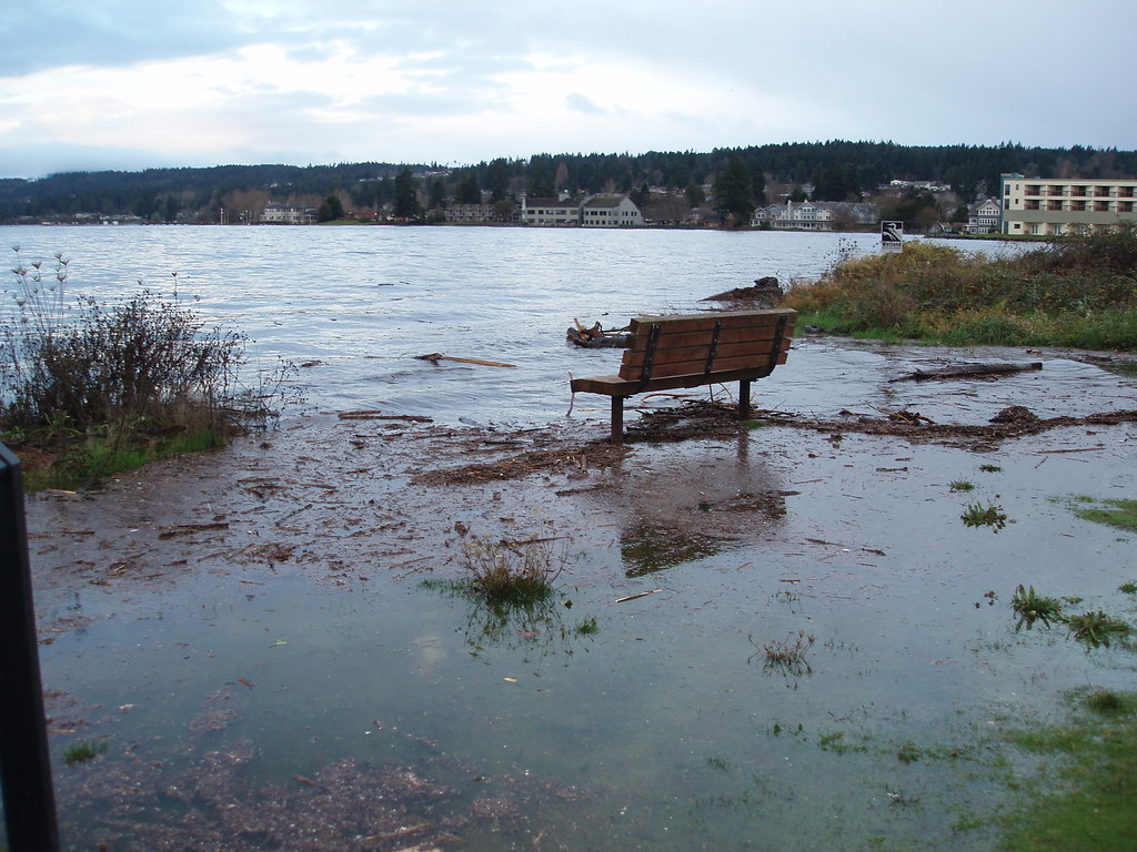 WA King Tide Dyes Inlet 121712 Old Sawmill Park 13.7 tid… Flickr