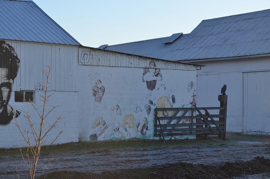 Warwick Barn Art 2 A barn in Warwick, NY with some interes… Richard